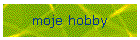 moje_hobby.htm