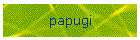 papugi